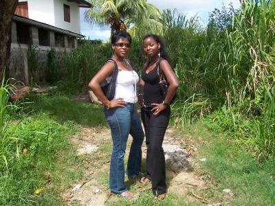 taite et mimich